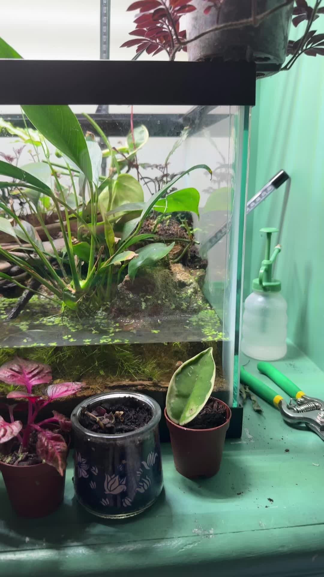 @David Diaz