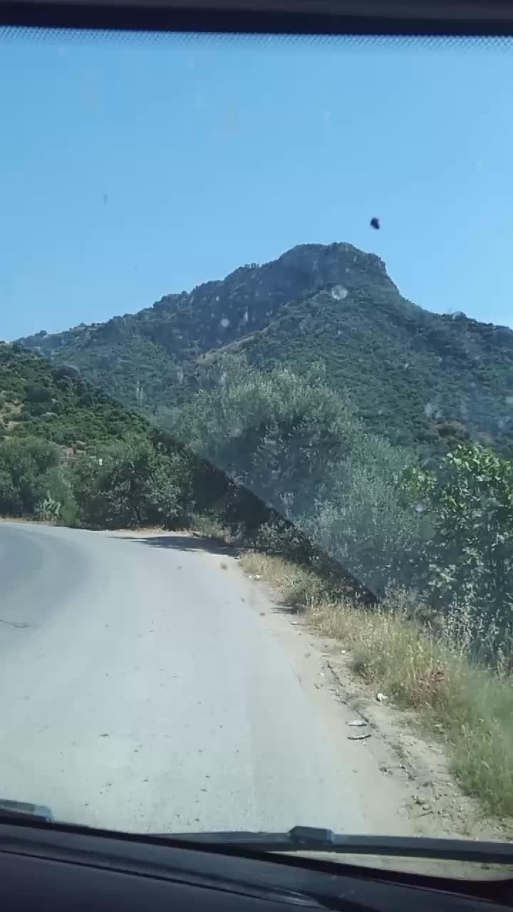 @tafsut kabyle