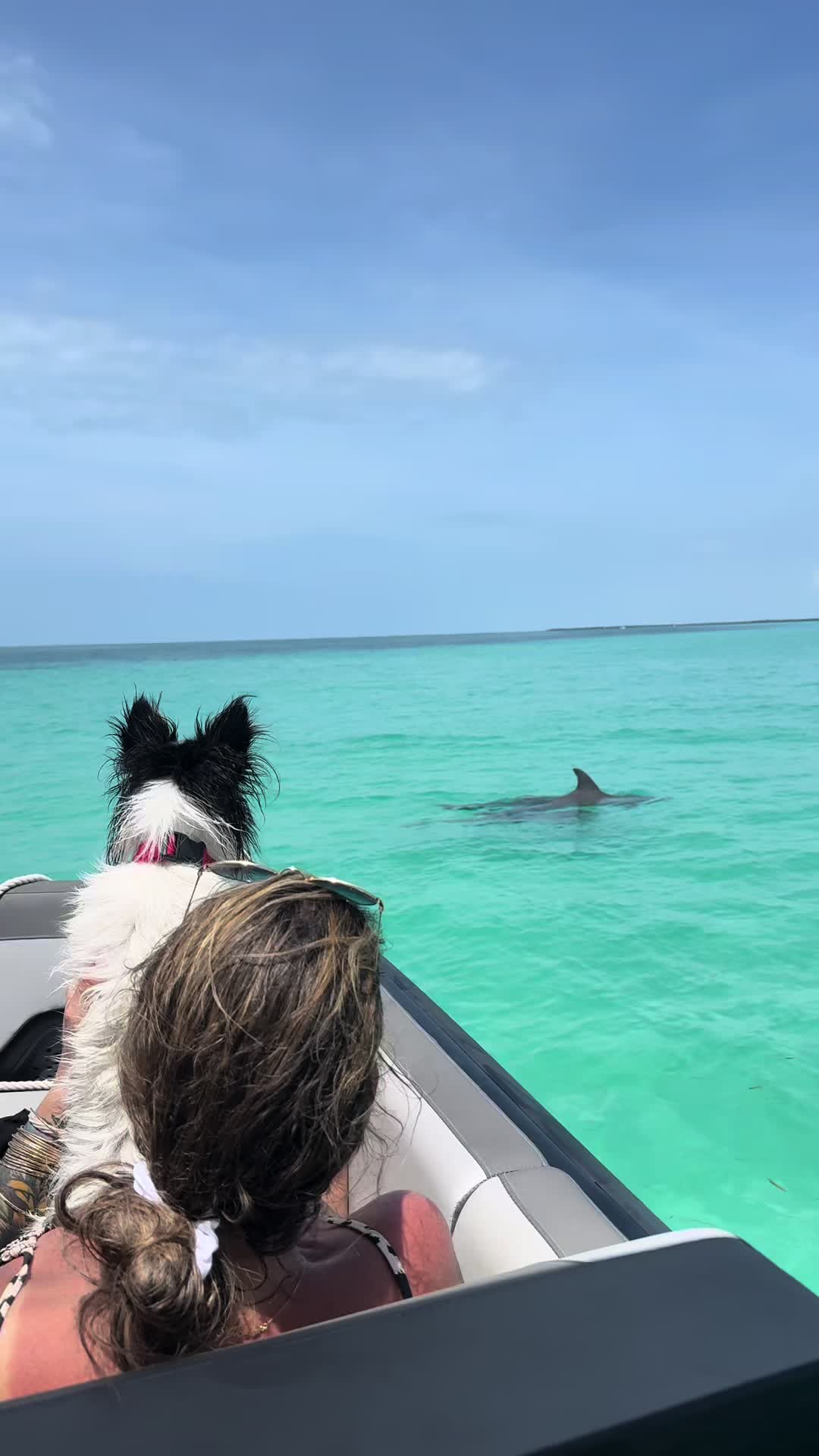 @Sunkissed Key West