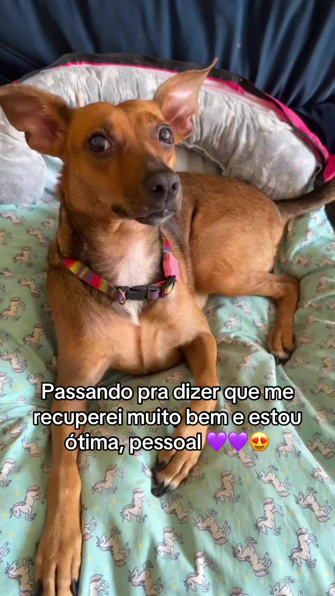 @Lua