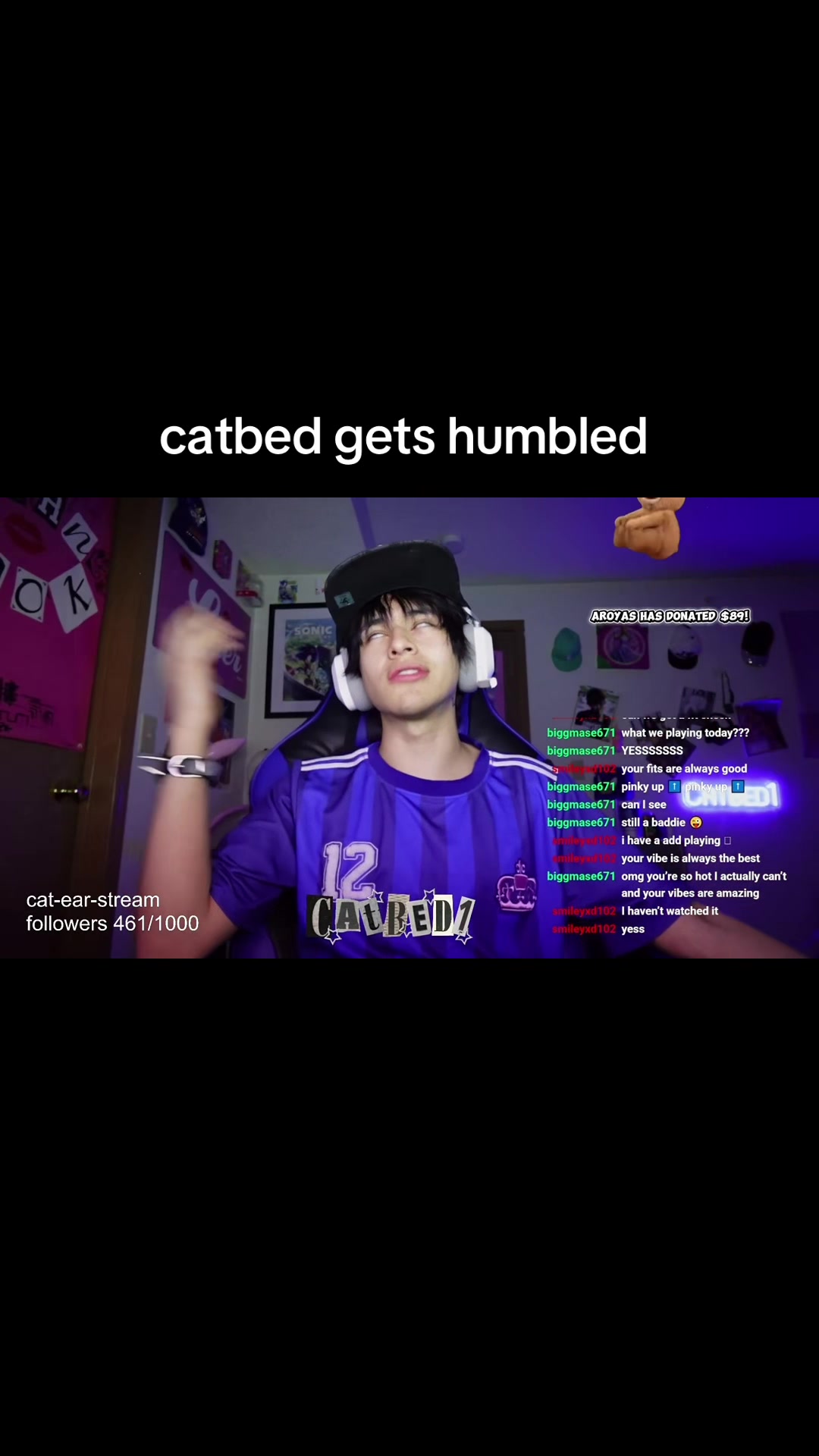 @catbed1