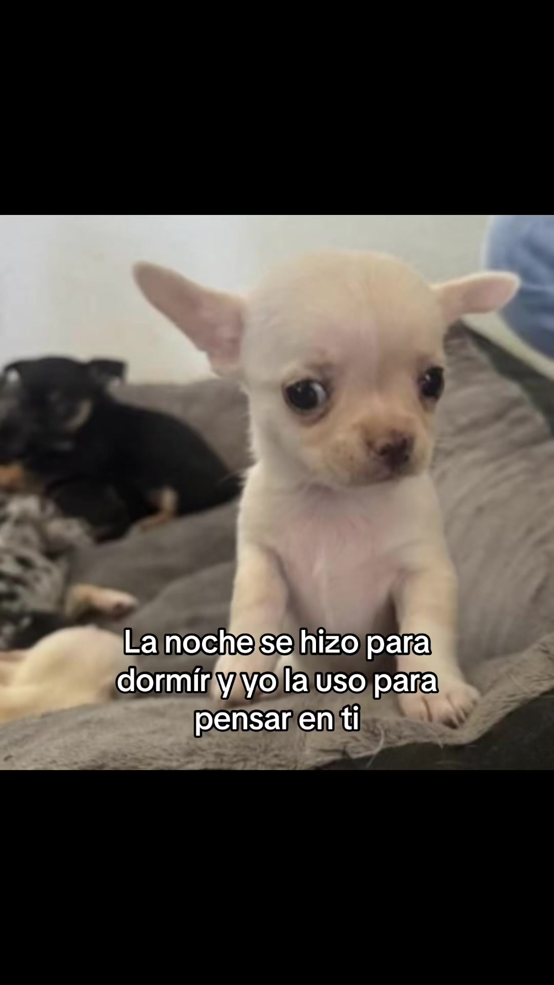 @saulburgosp2.0