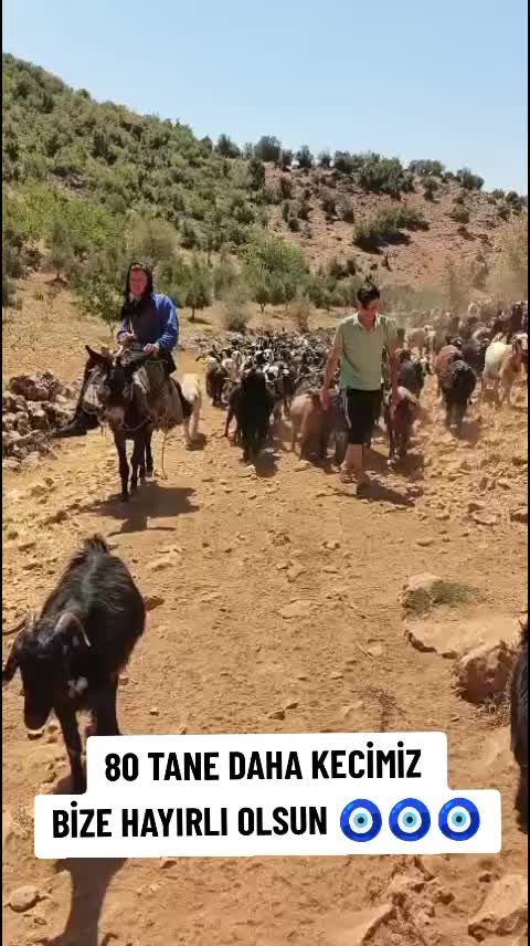 @Memo_2727