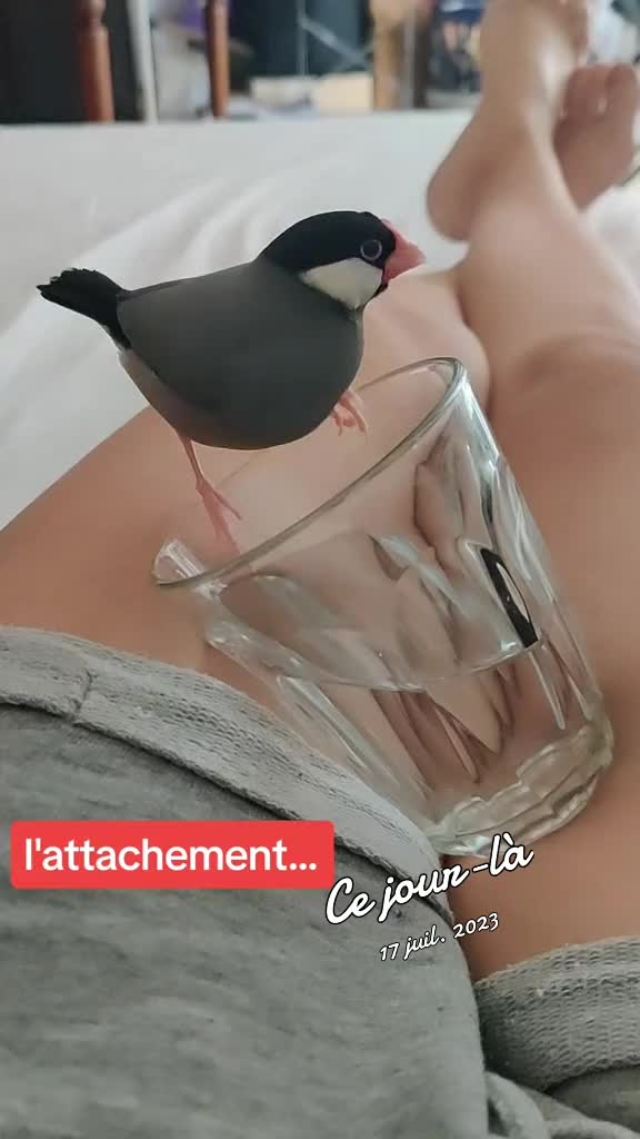 @steph azuréa
