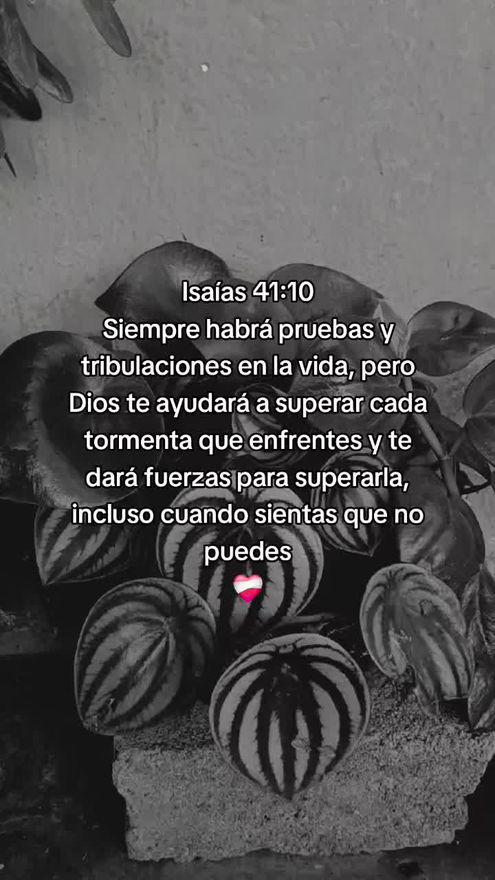 @Alex El Riko Rico😉
