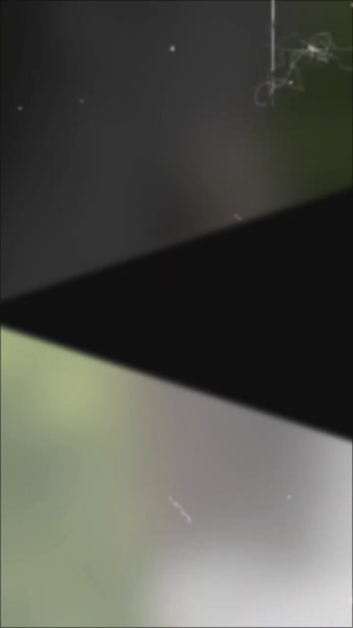 @★彡Z҉O҉Y҉A҉R҉A҉J҉P҉U҉T҉彡★