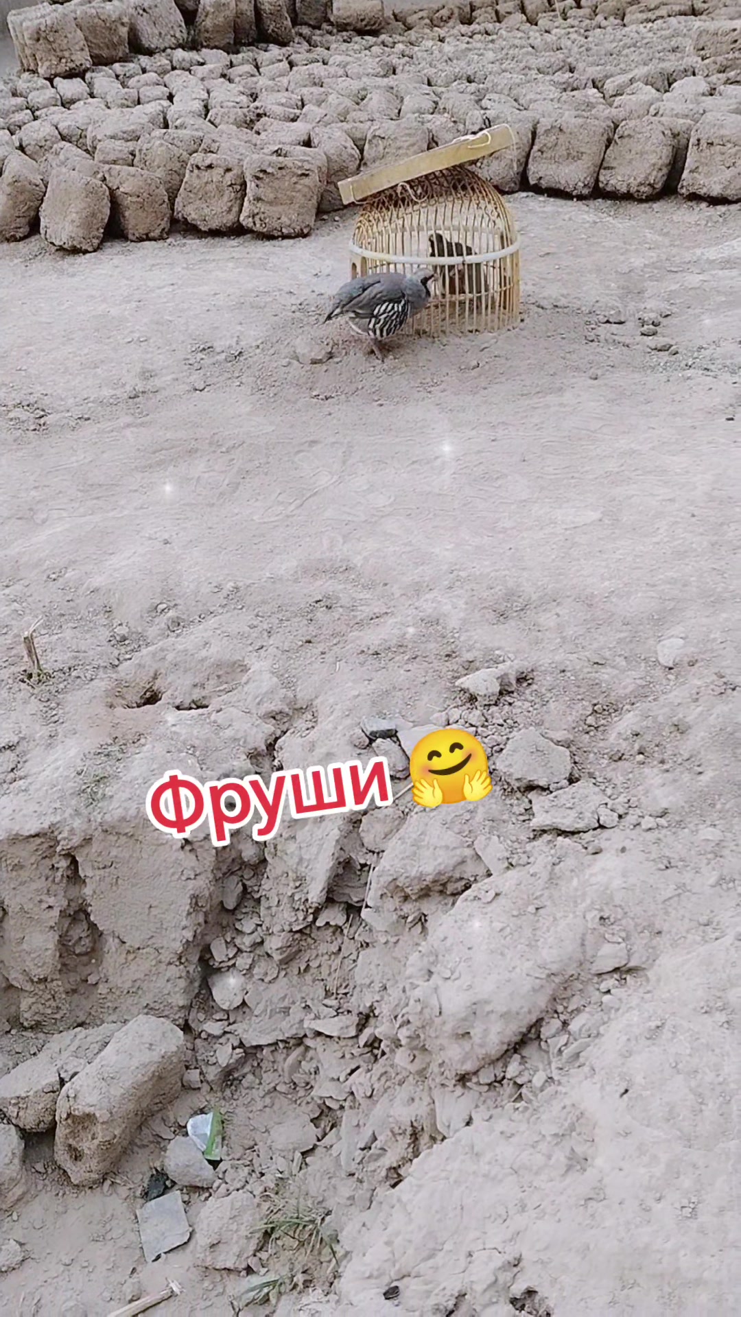 @0007
