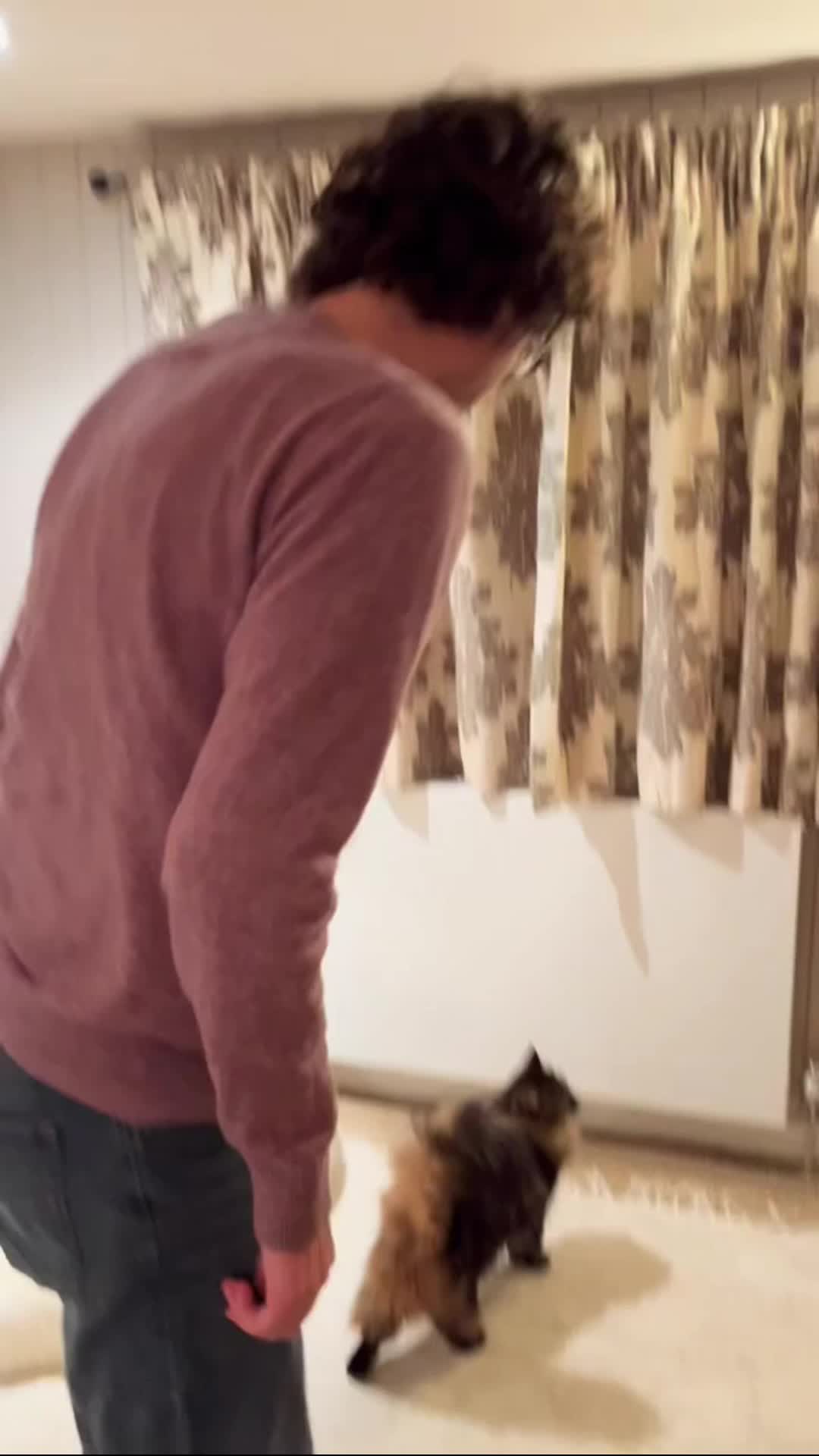 @Stampy Cat