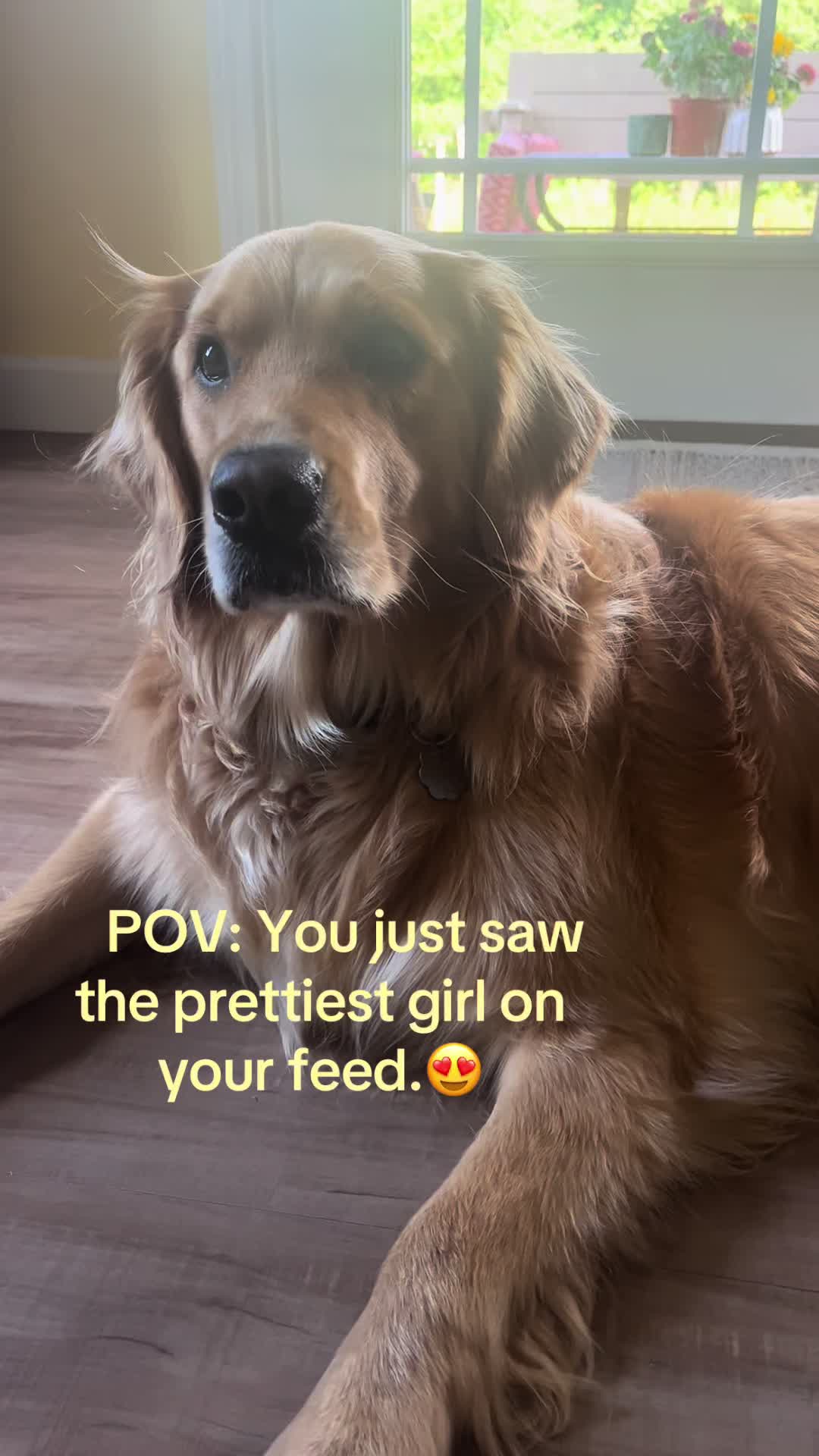 @Winnie the Golden Girly