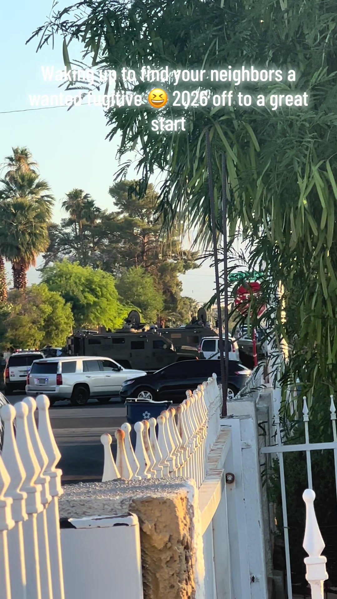 @🌴🐻L.A_2_L.V🦩🌵