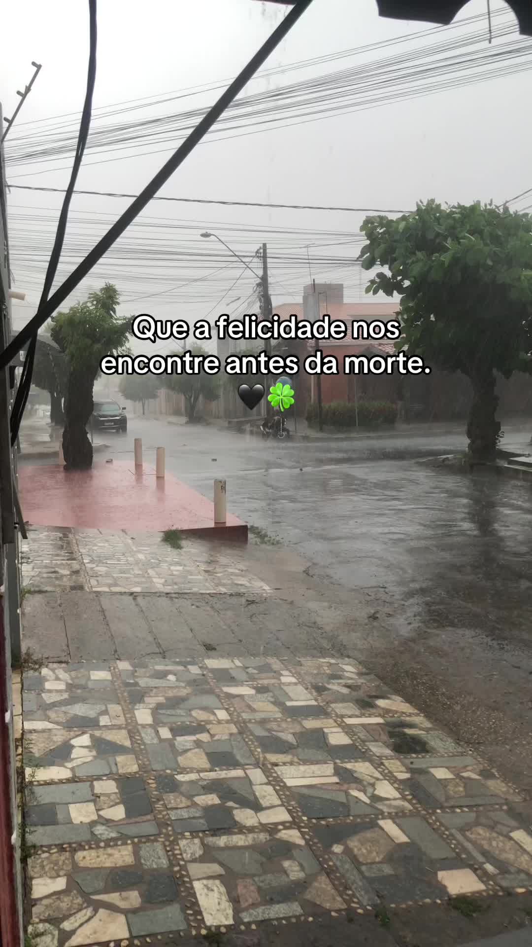 @Luis Felipe