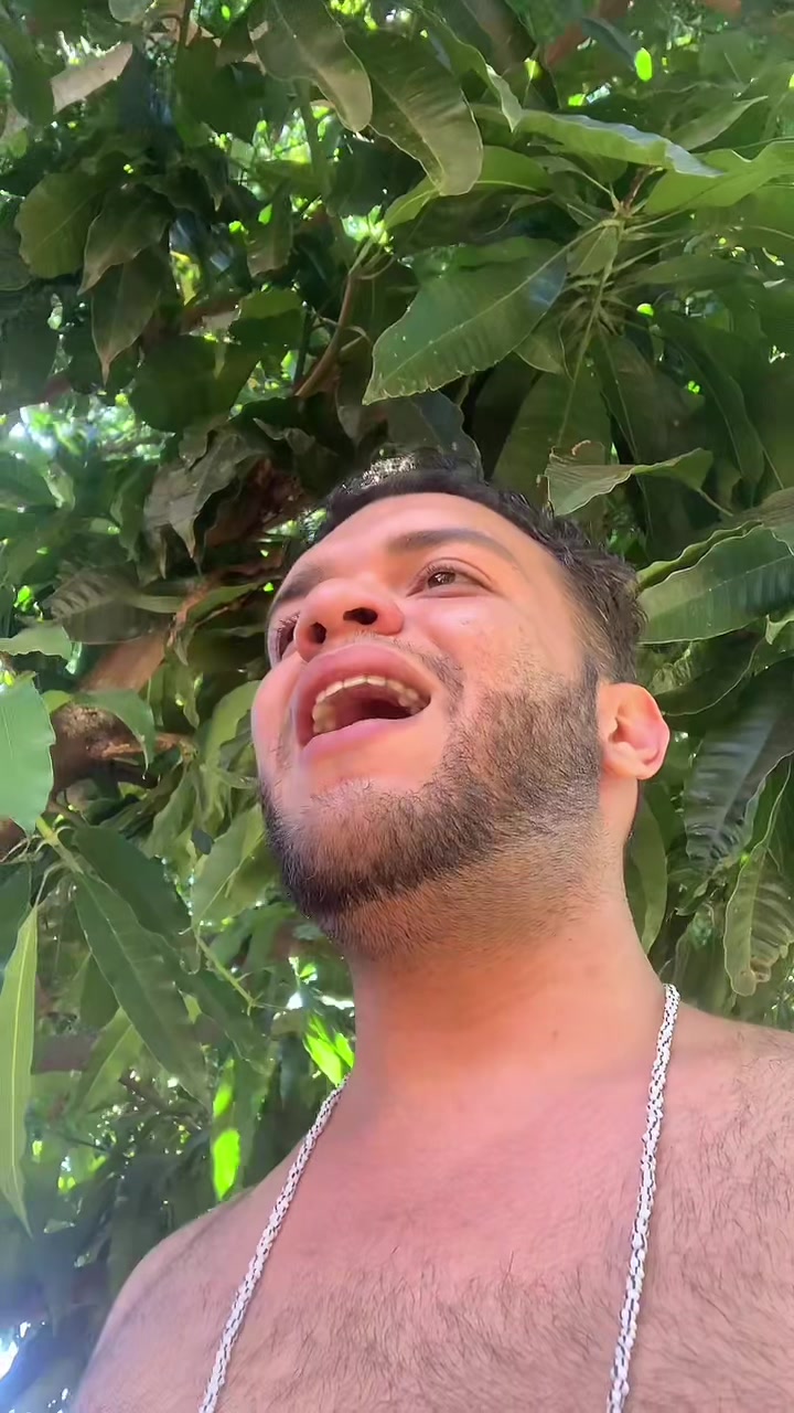 @pedro.simbo