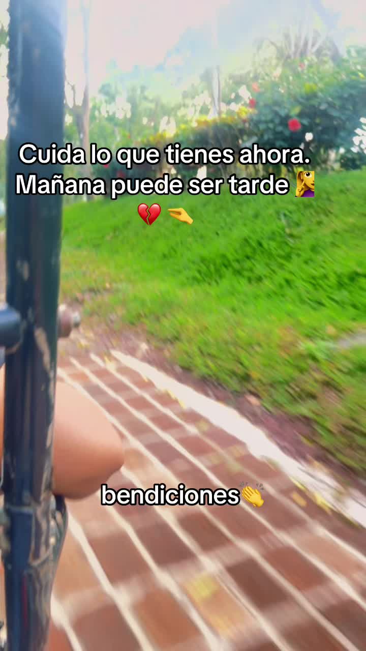 @guadalupetursios8