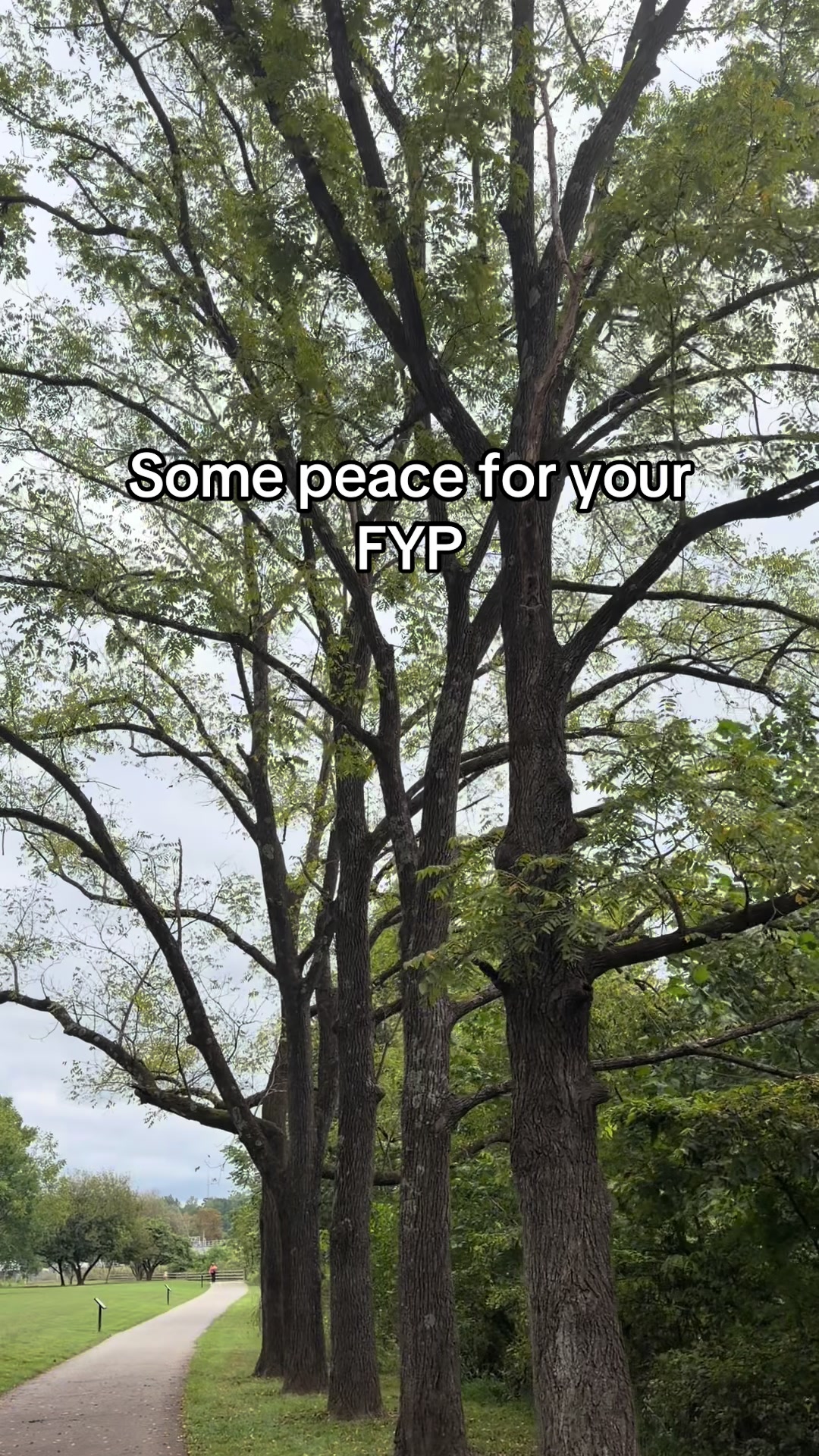 @GarrodGetsWell
