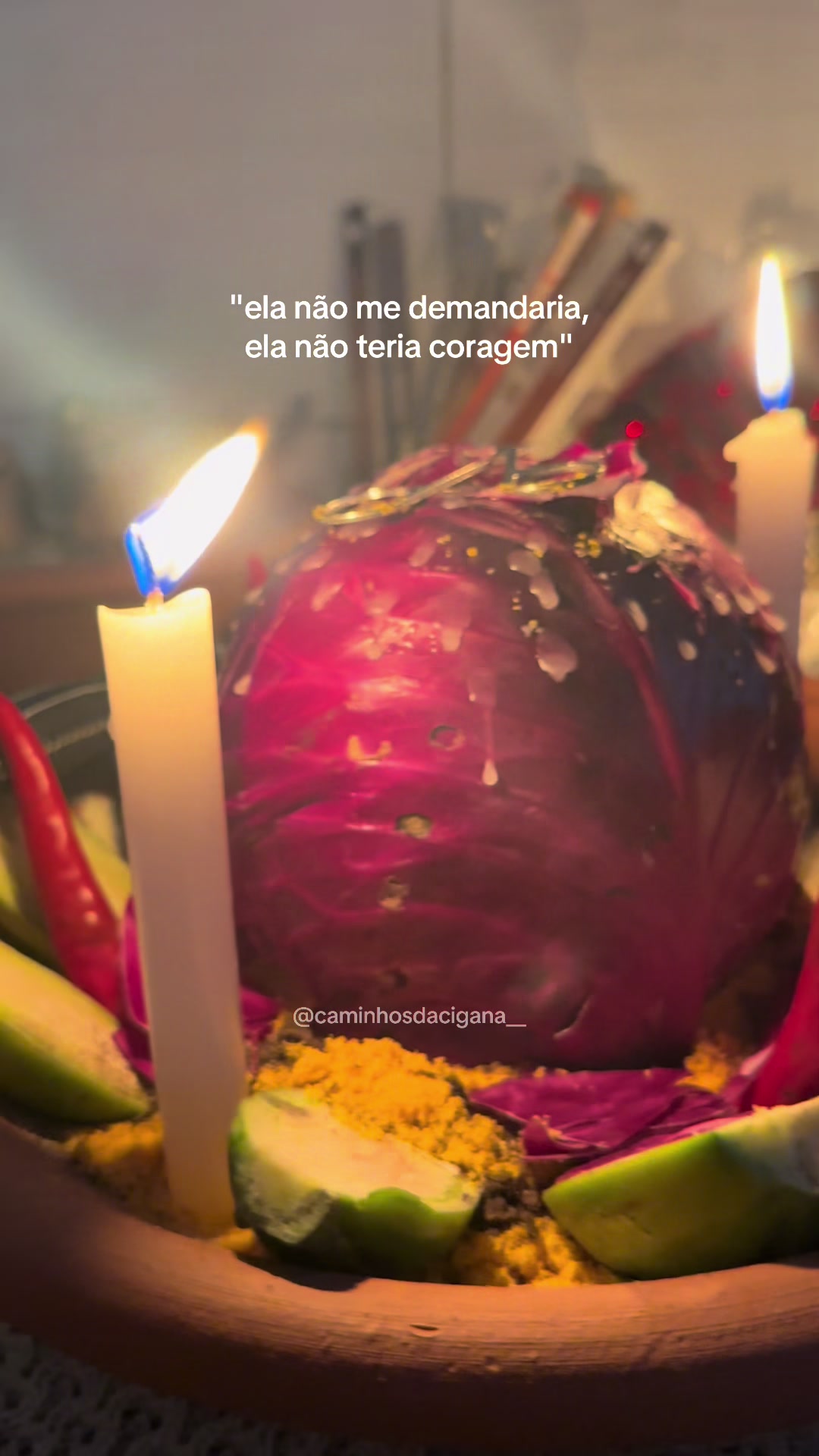 @𝐄 ⛧ 𝐂aminhos da 𝐂igana