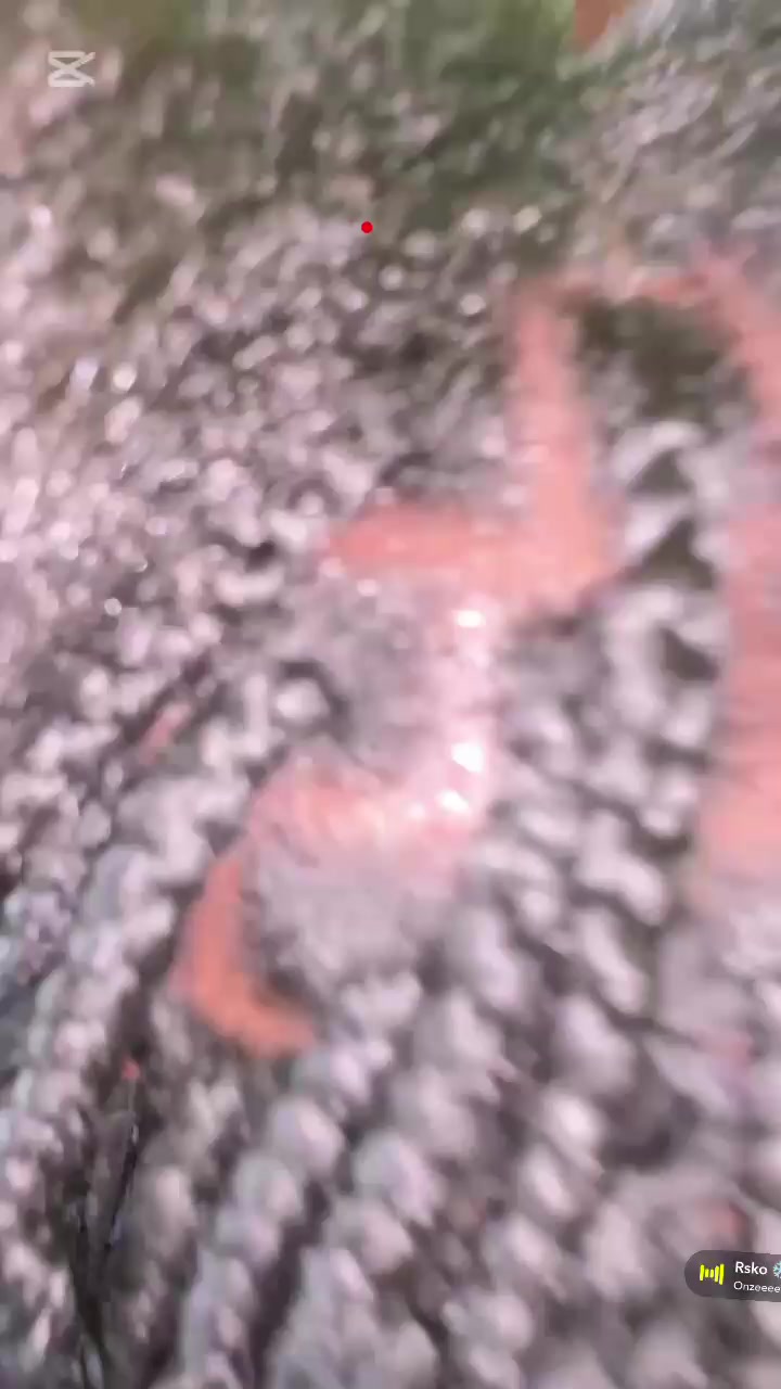 @Allegra