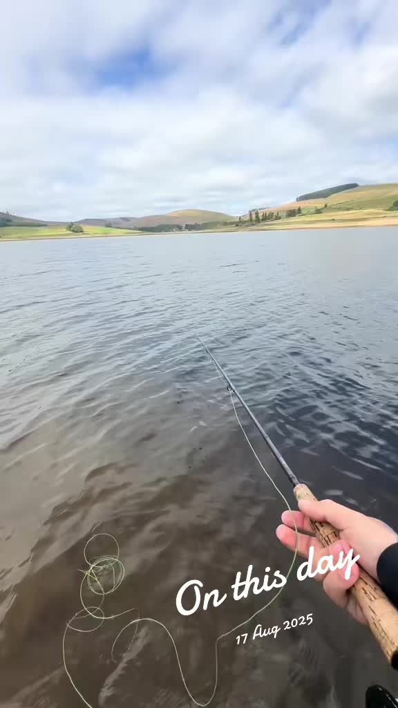 @Alba Trout 🏴