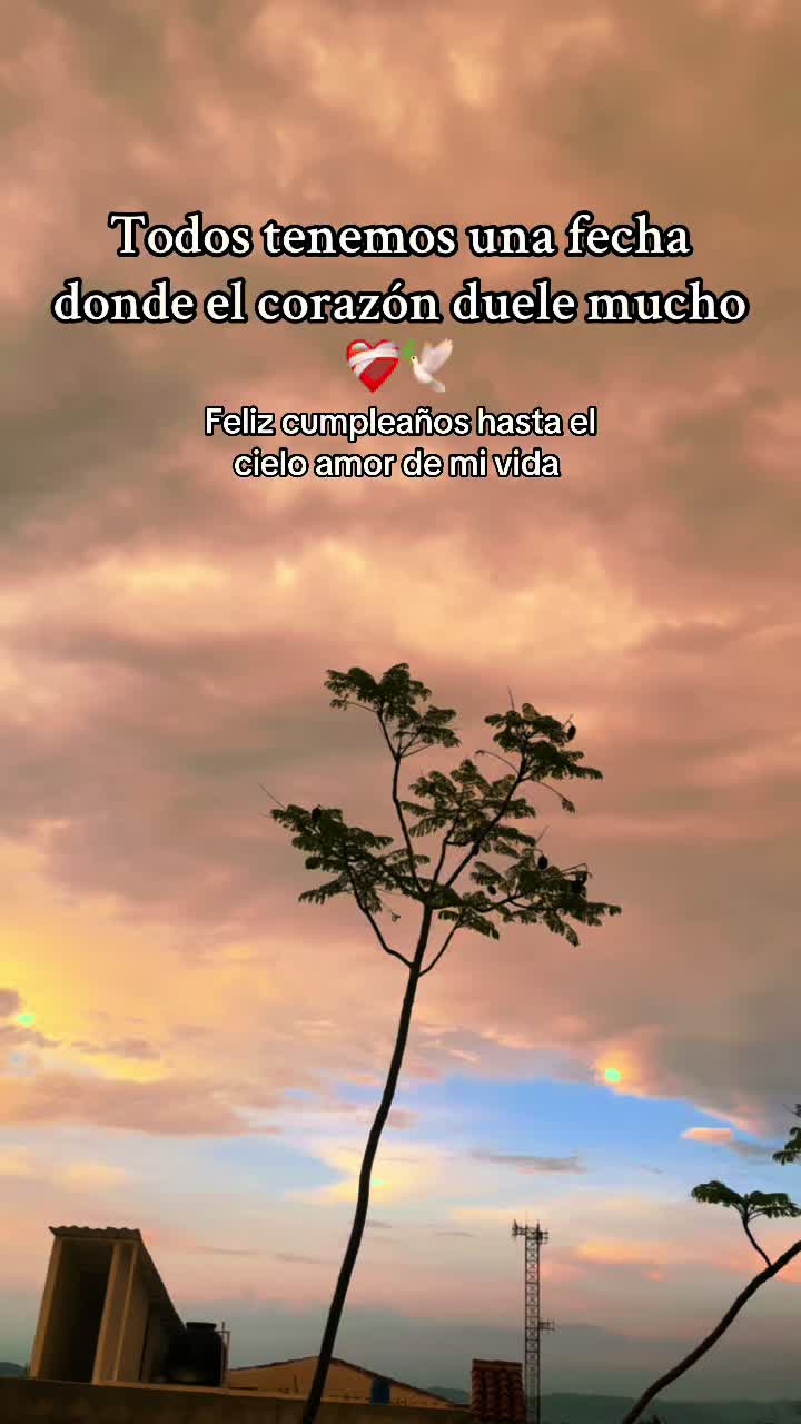 @LigiaCg🦋