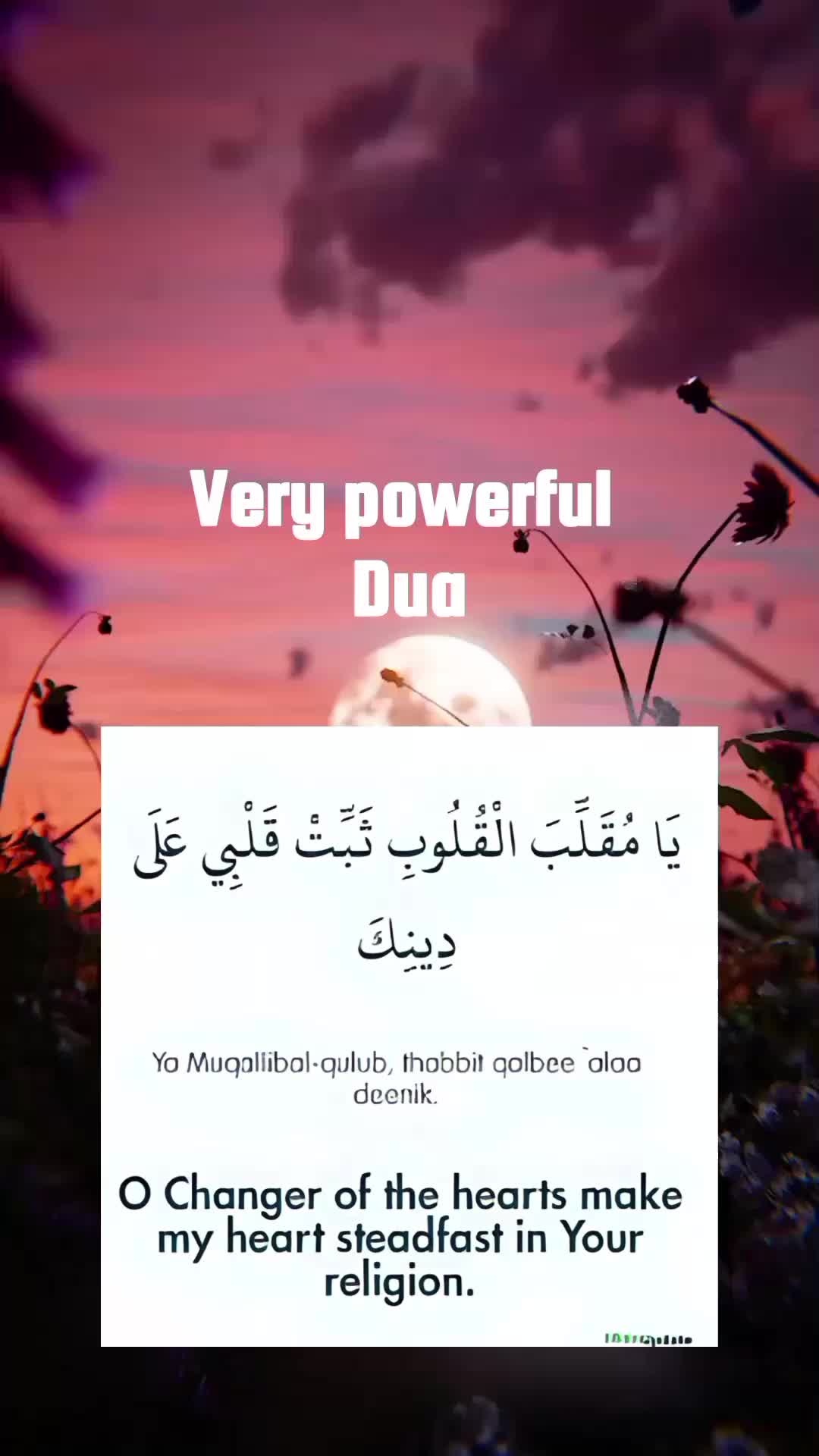 @أَزْهَر