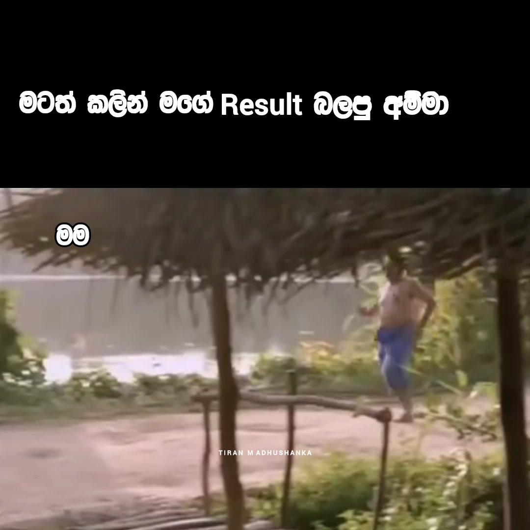 @Tiran Madushanka