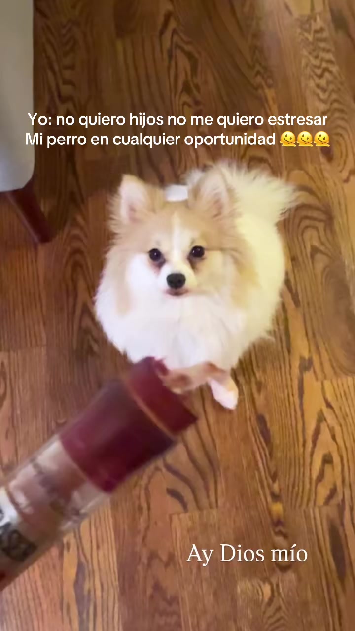 @Daniela Casta&ntilde;o