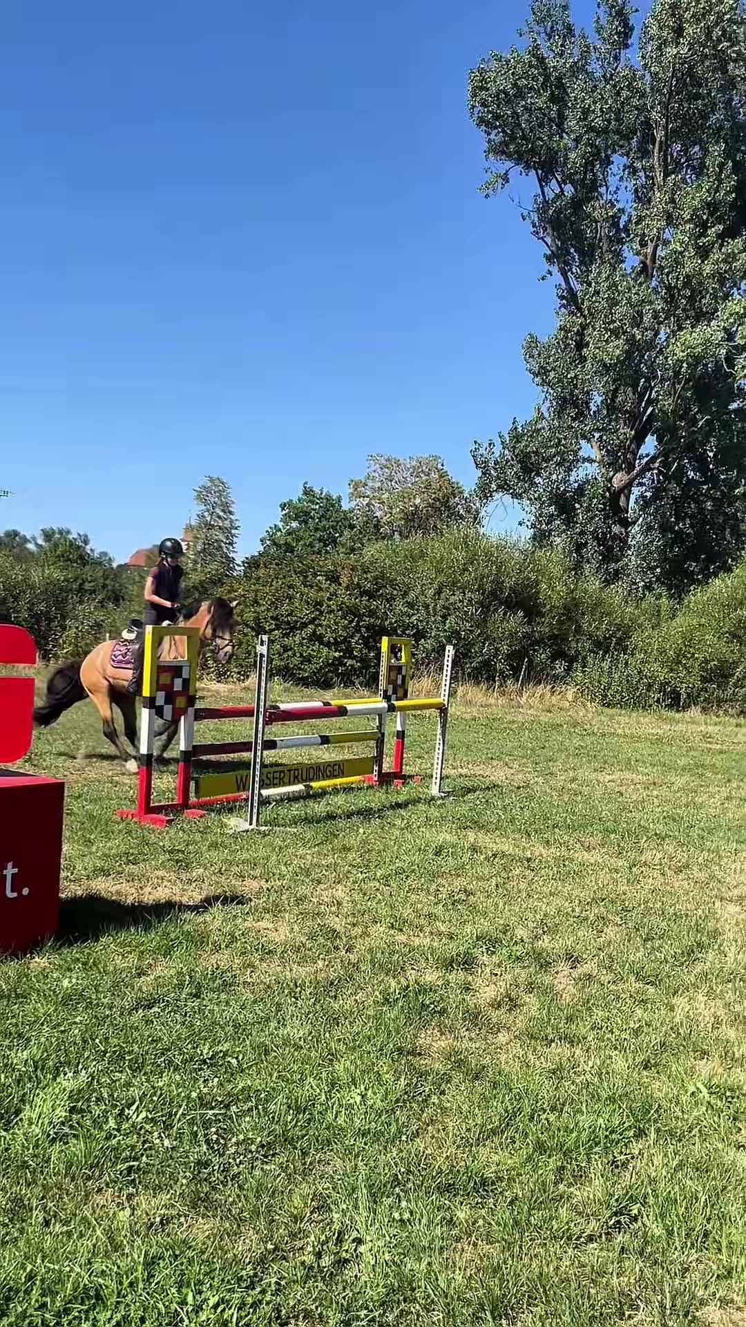 @Daily Pony&lsquo;s⚡️