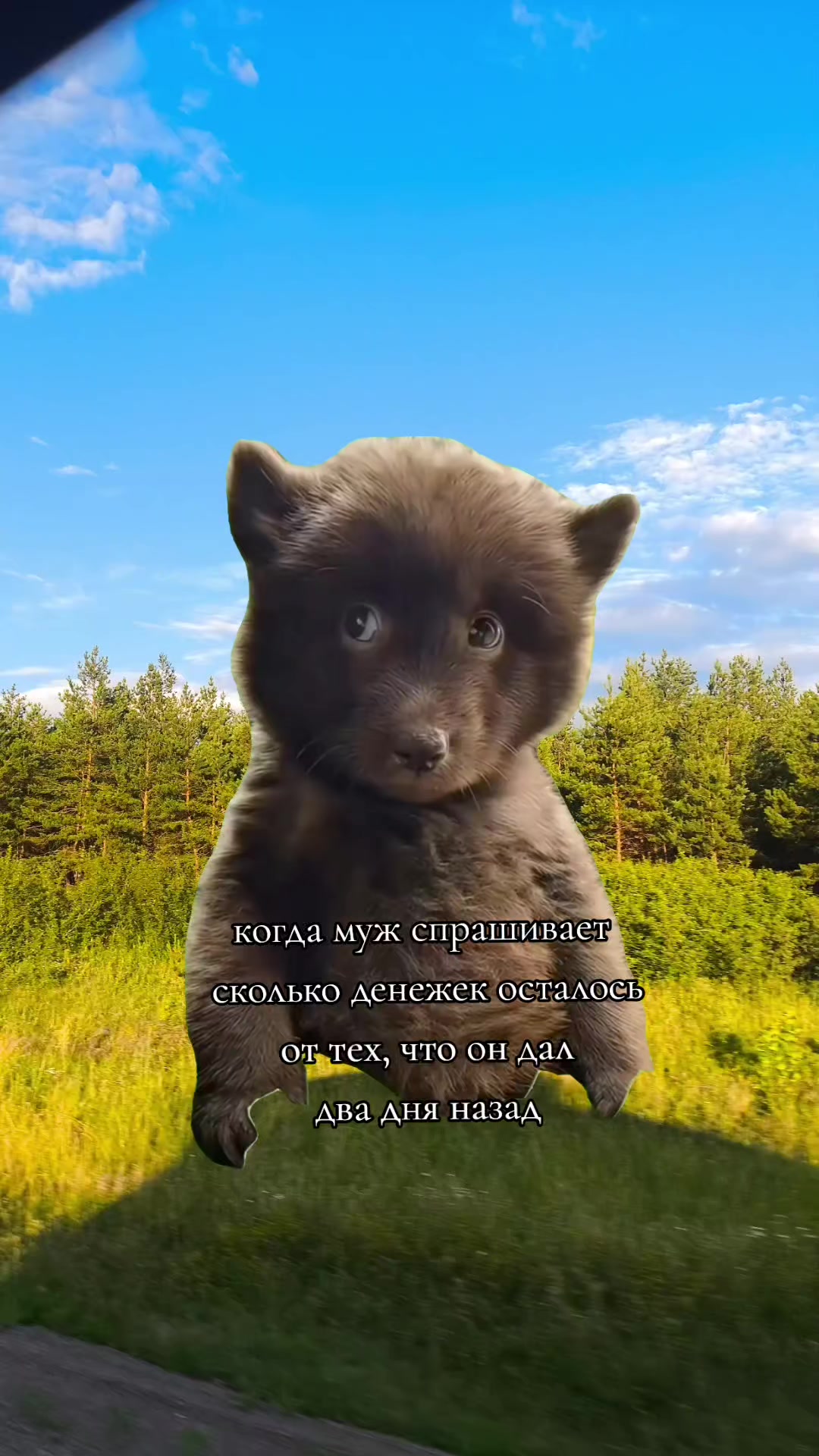 @Кэти