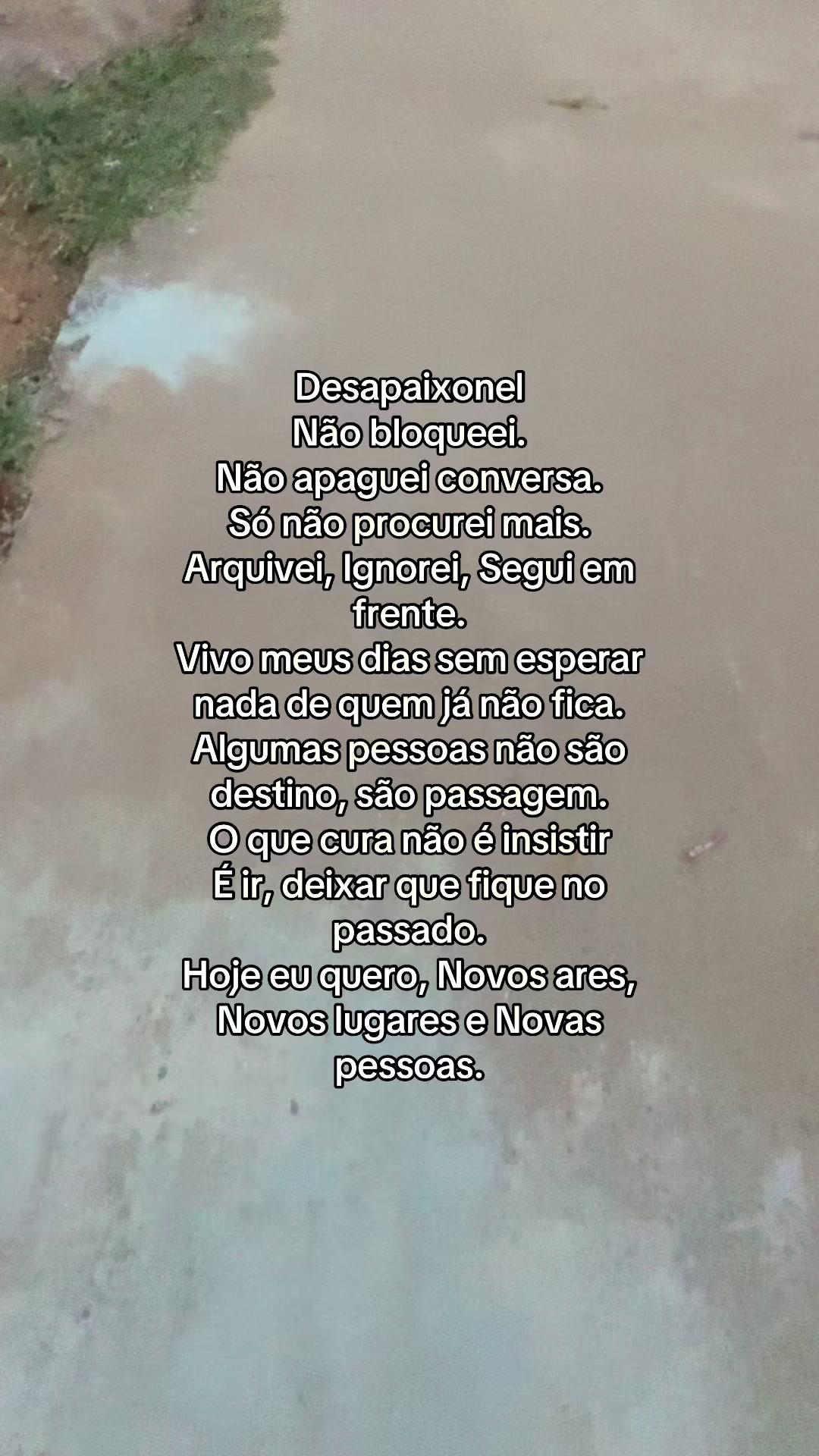 @Thays Caetano 🦋