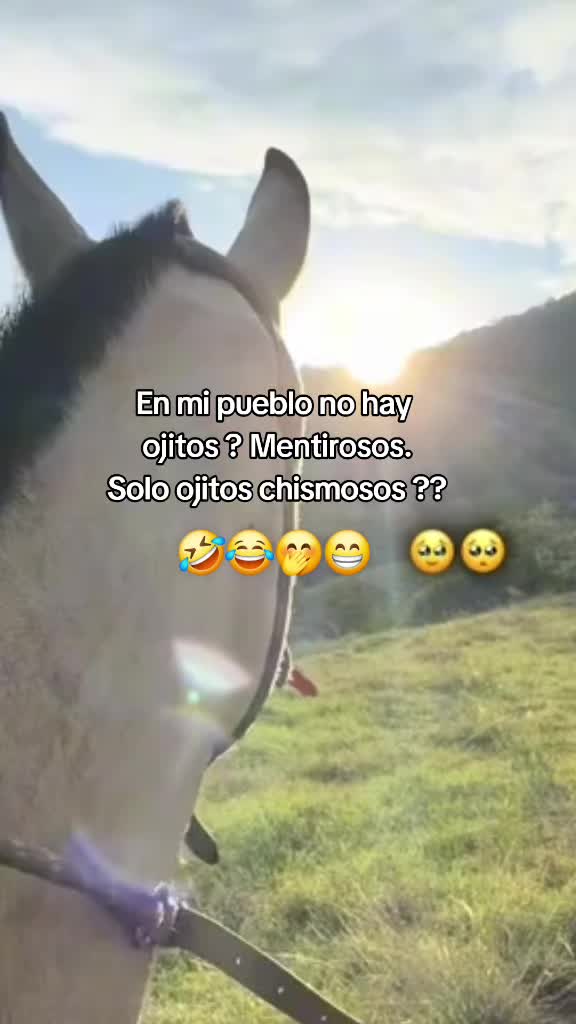 @(&pound;&cent;&yen;)