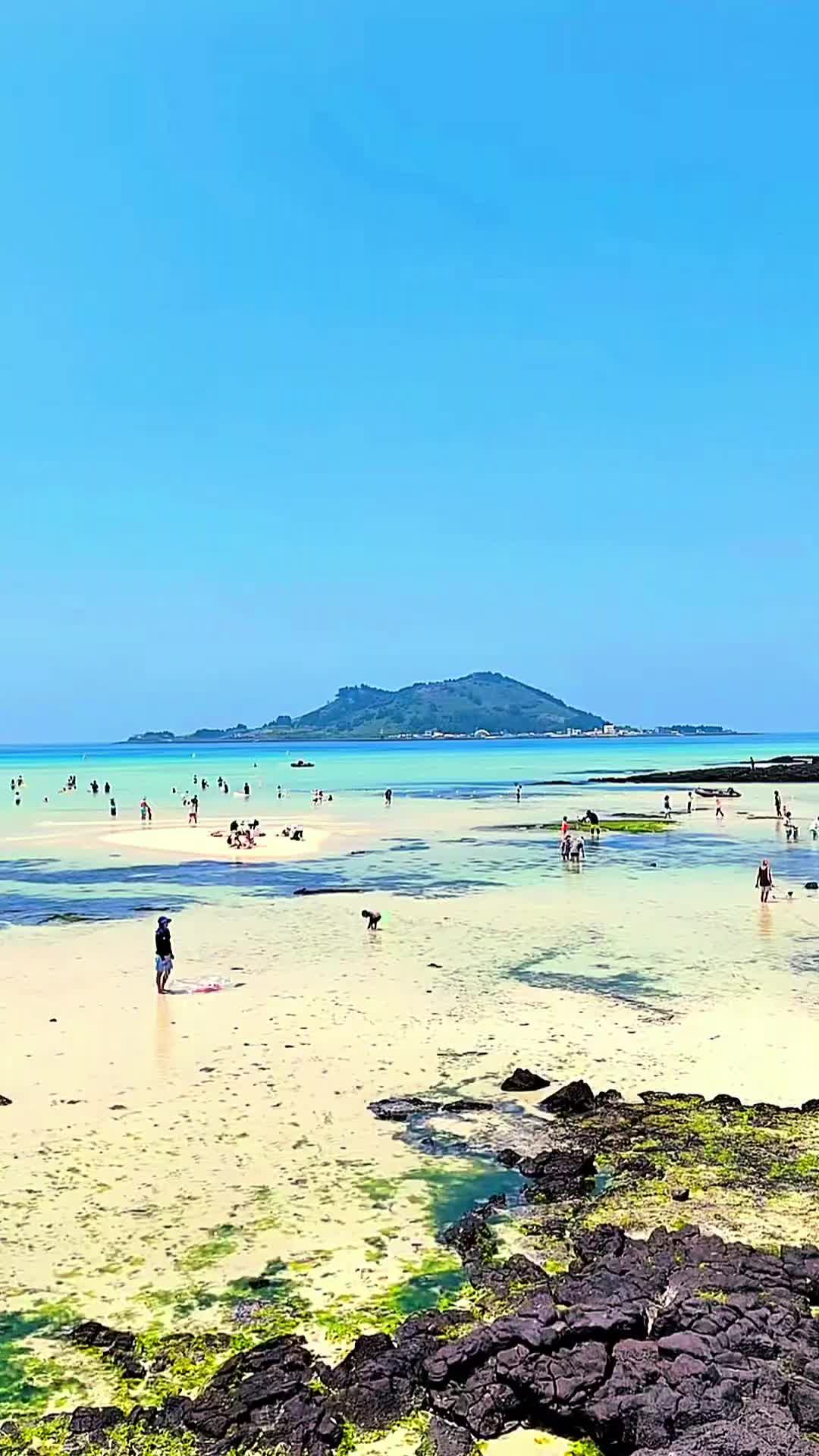 @베네딕트