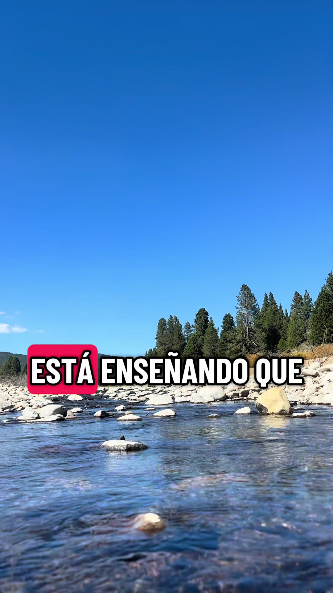 @DEA
