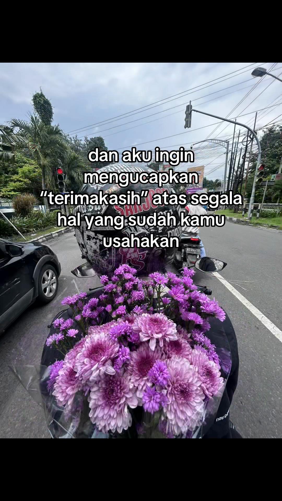 @hokkiky