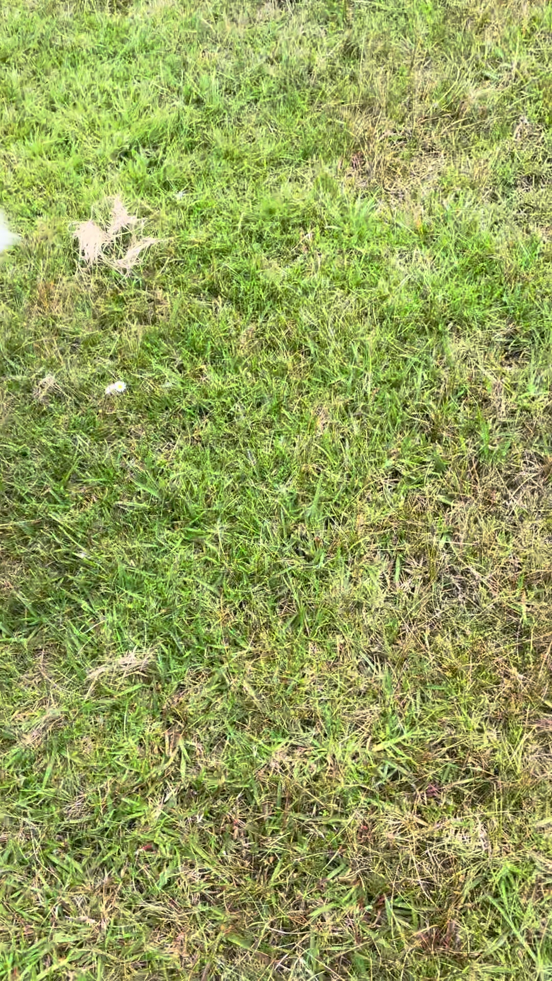 @Tiktok_Gambler