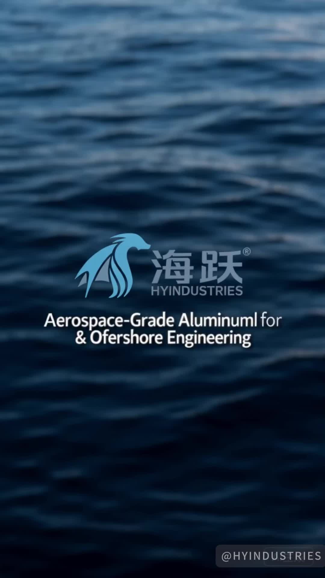 @hyindustry