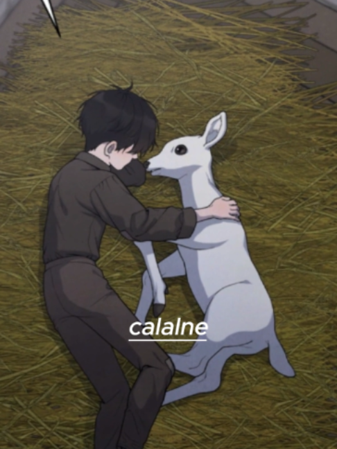 @🌼🌵Callane 🦋🥀