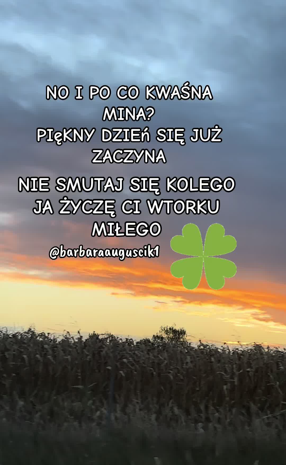@barbaraauguscik1🇵🇱🇩🇪
