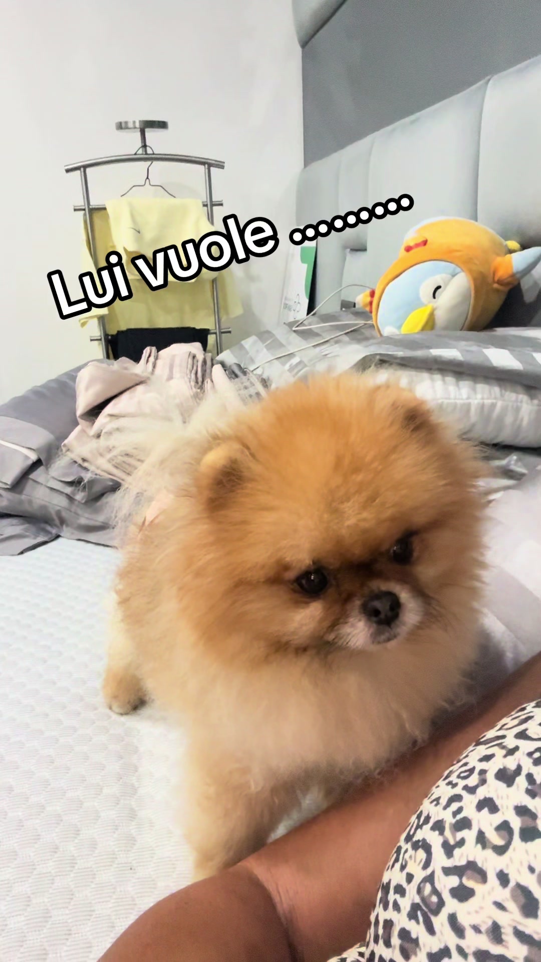 @mariaferrigno28