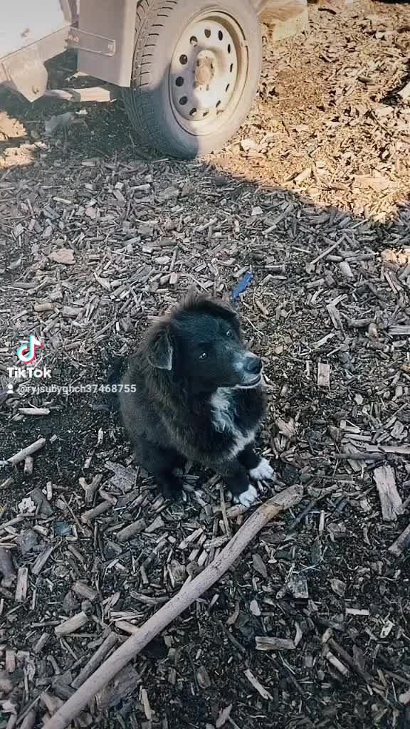 @ДЖЕСС БУМ🏵️🌹🌸