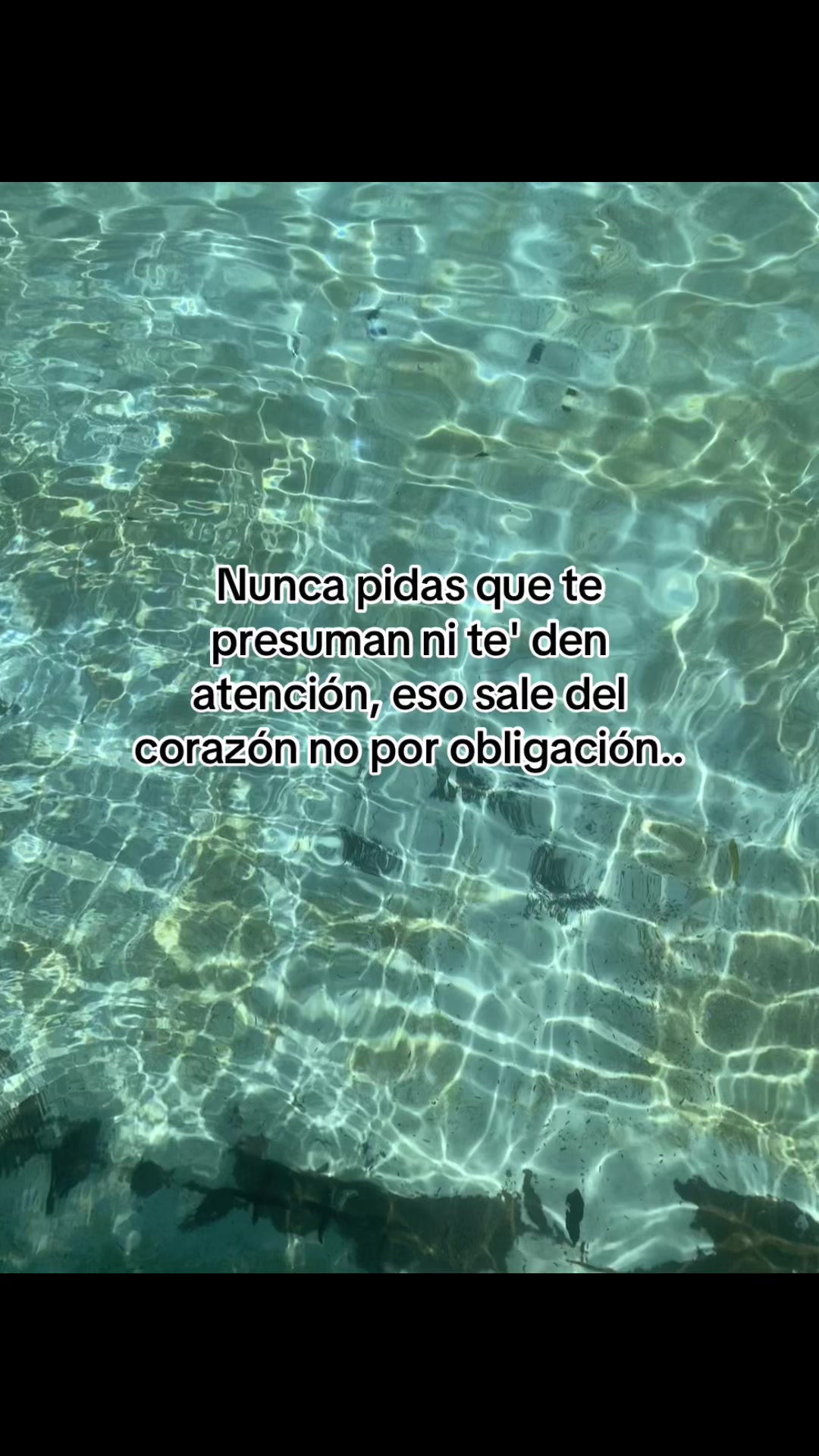 @ sv.brixn_11