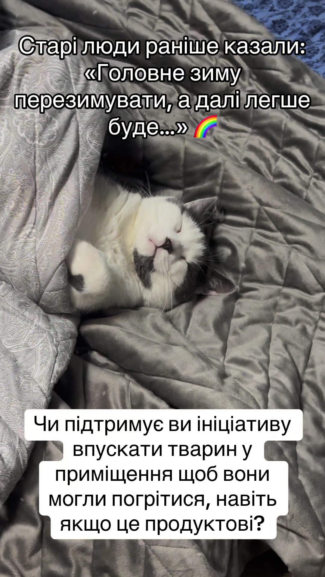 @Brytto 🐈⬛