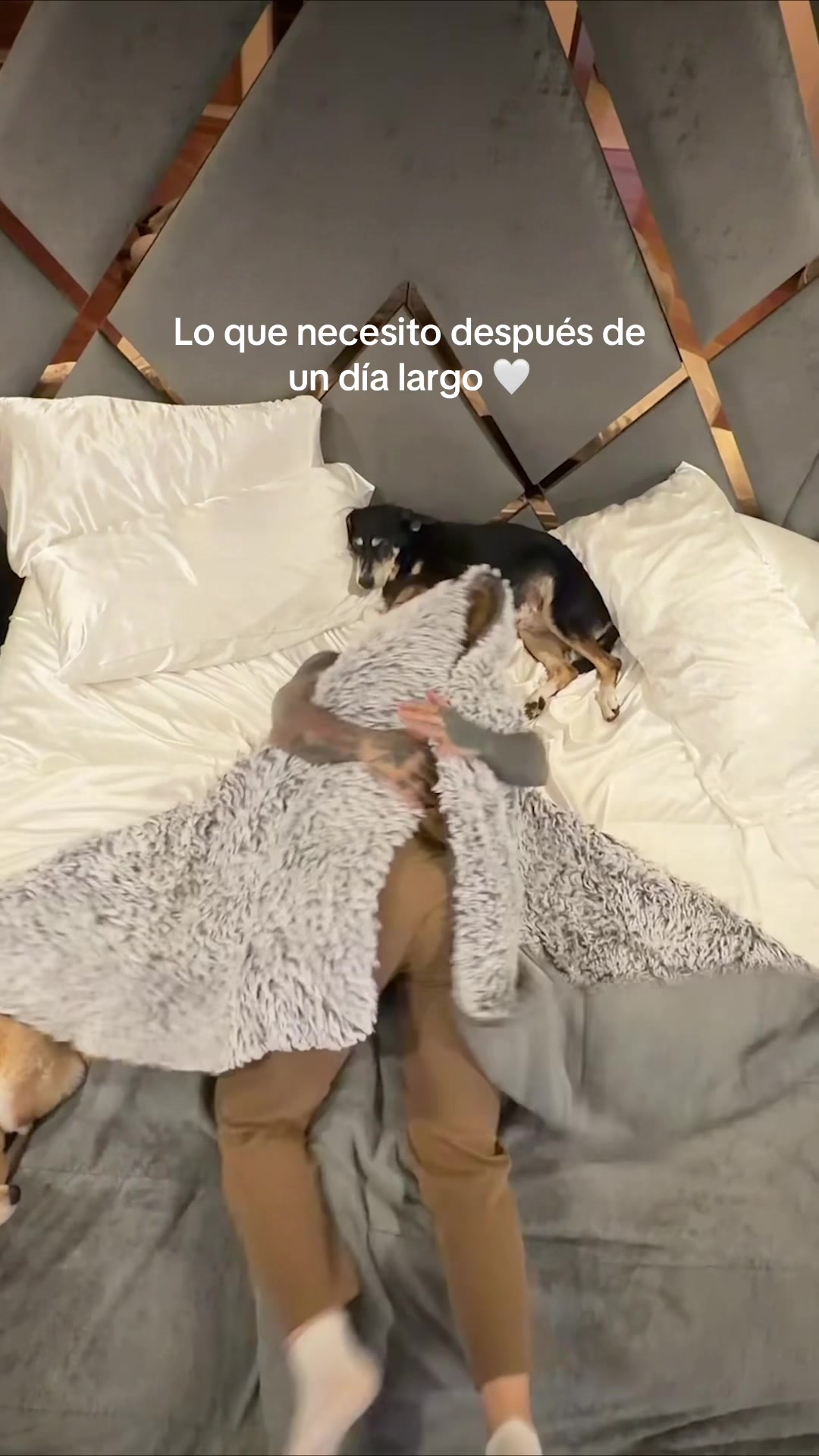 @Carolina G&oacute;mez