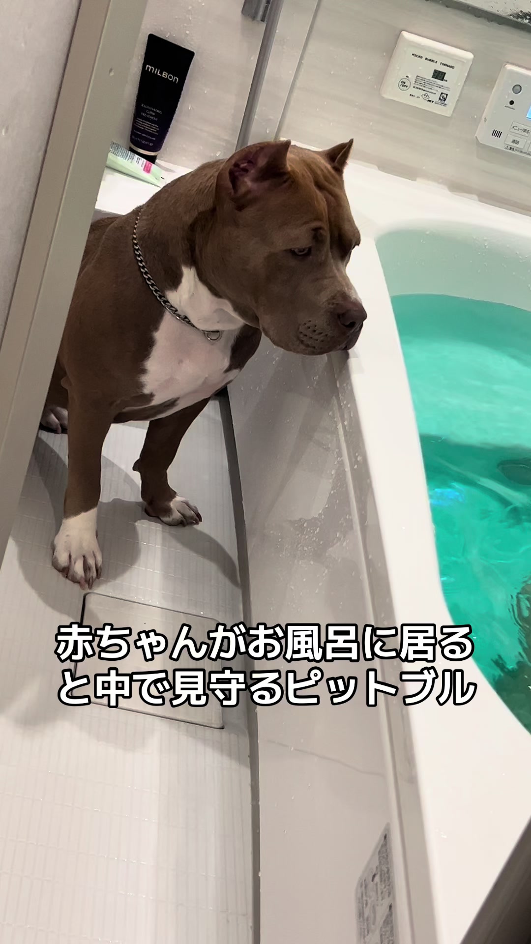@BOSSใ ใ๐พ๐