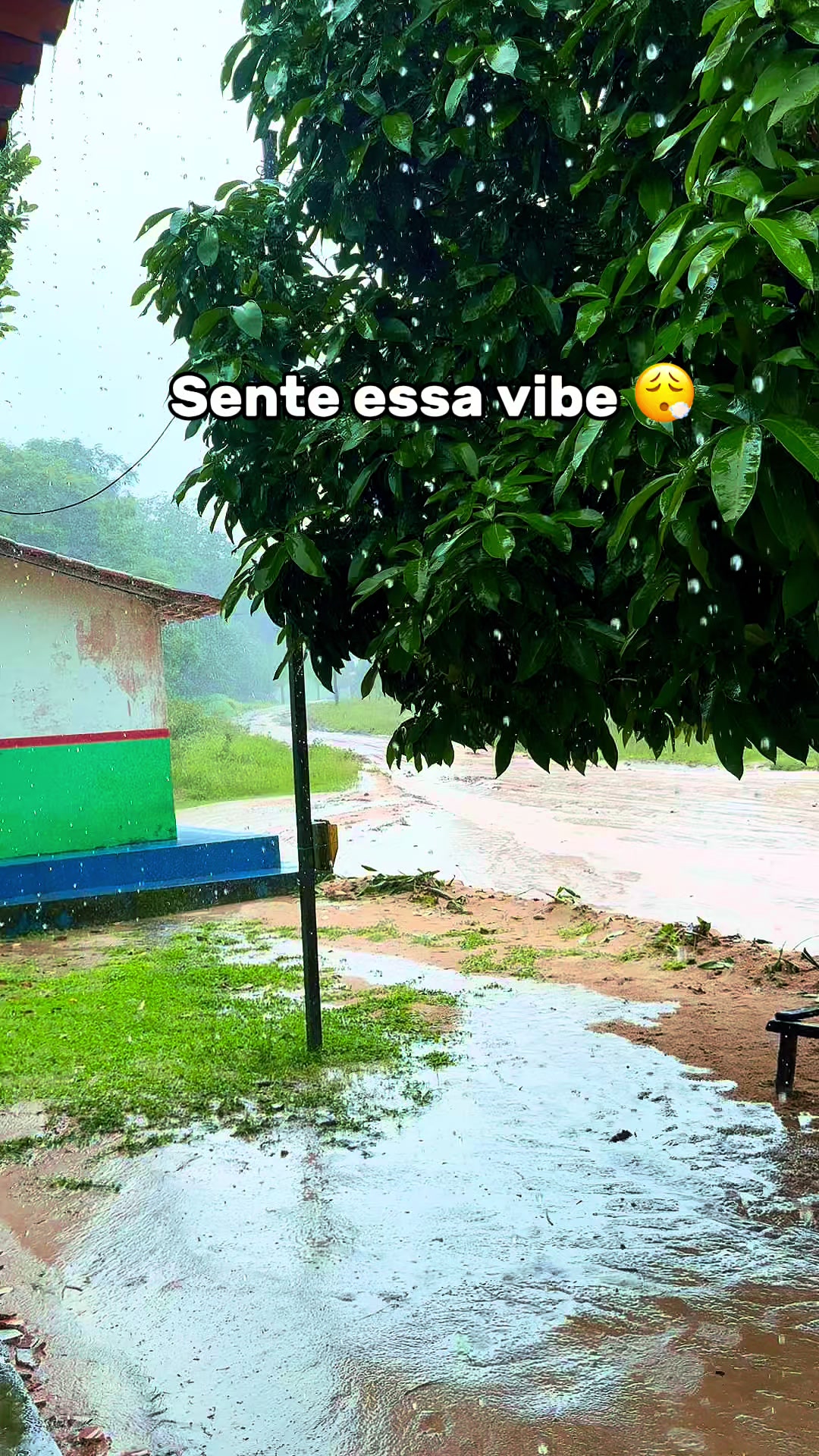 @eujheyson_ofc🇯🇲🇬🇳