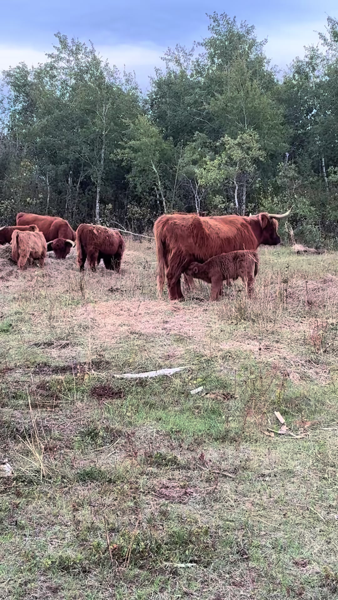 @mybonnyfarms