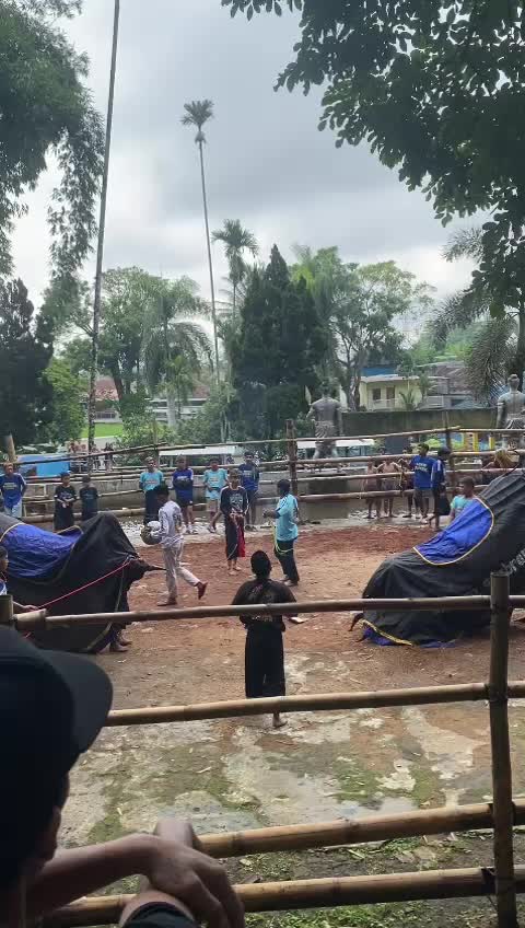 @MAHESO ANABRANG SQUAD
