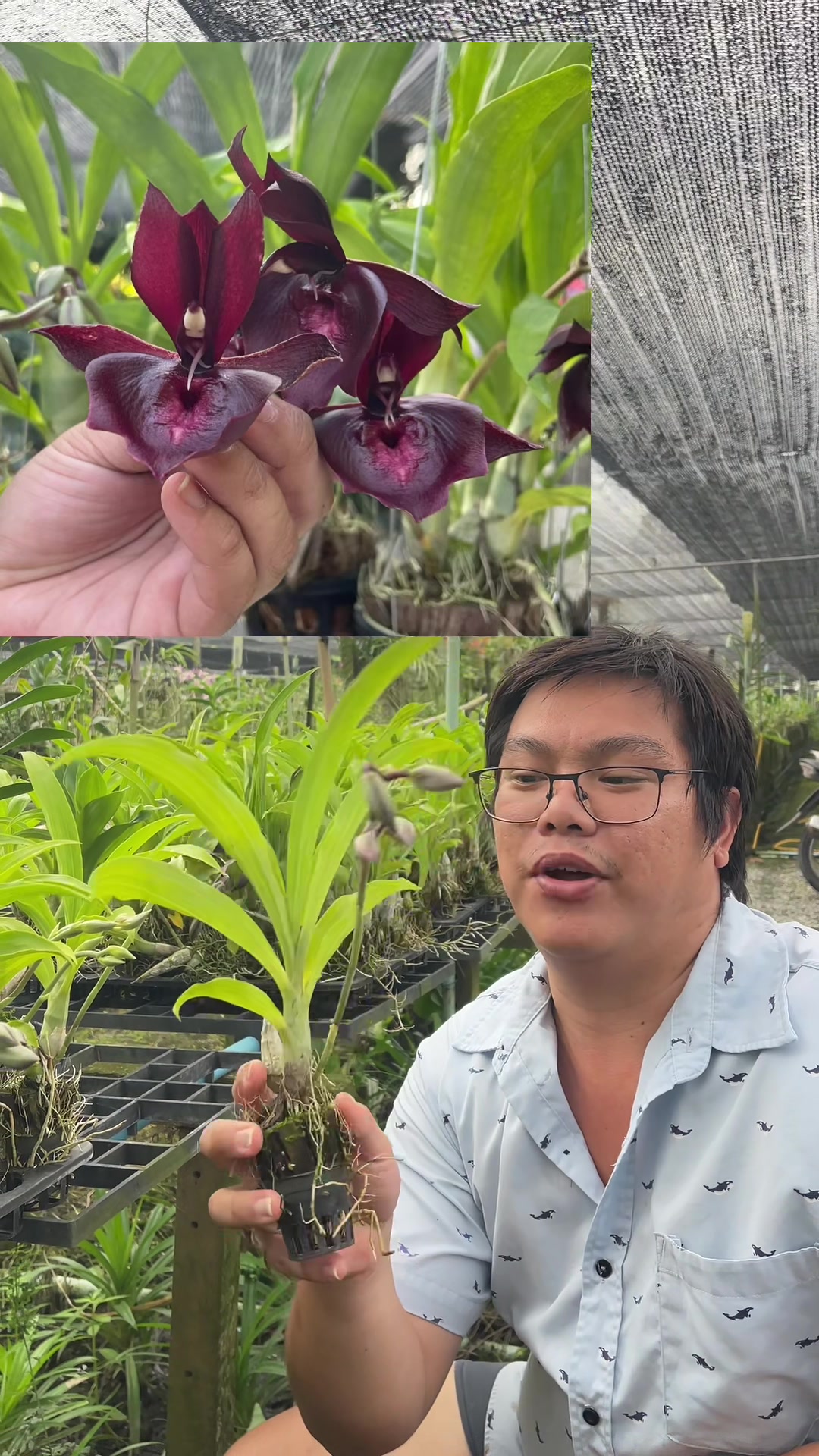 @Waree เพิ่มพูนทรัพย์