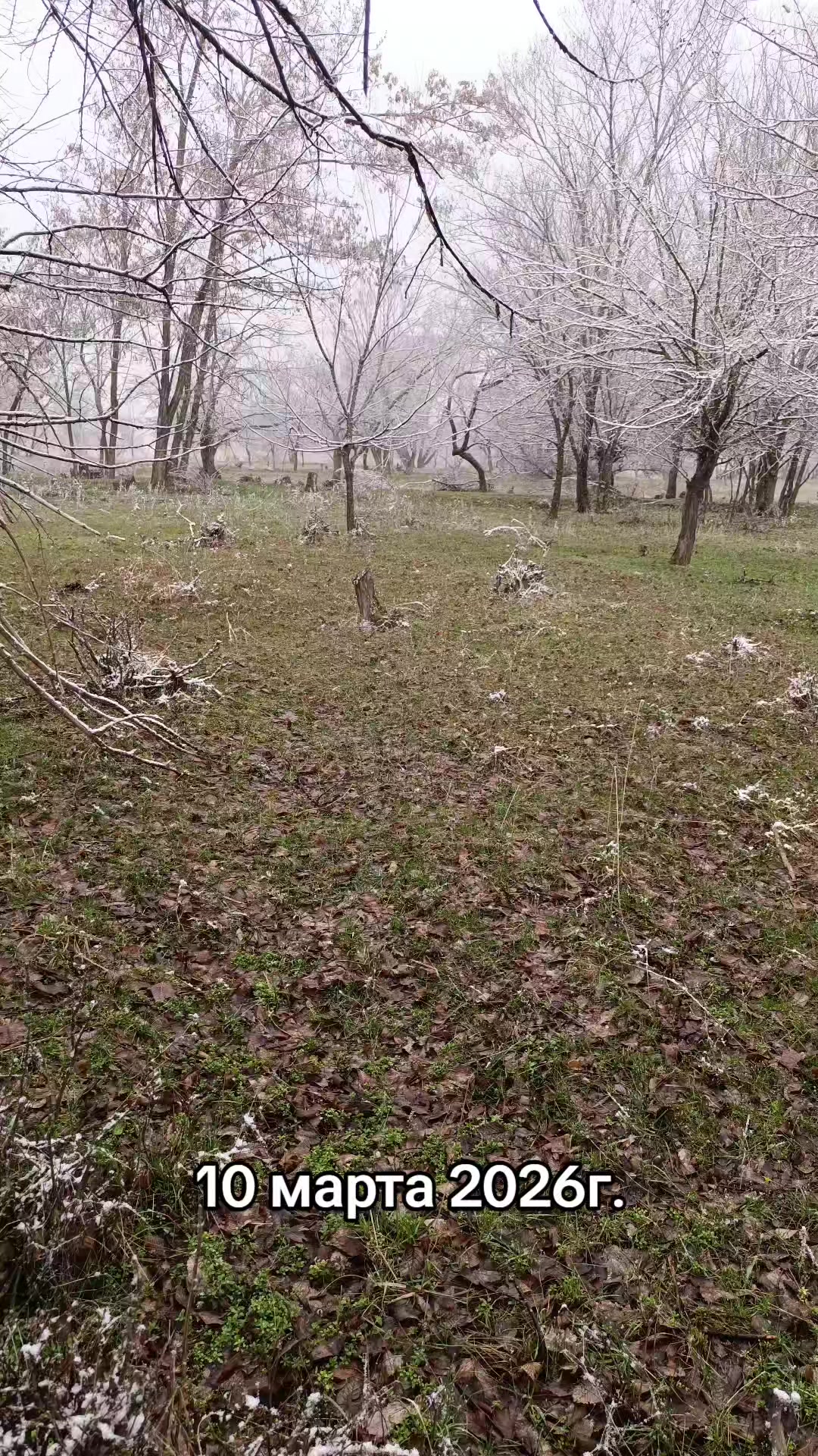 @Настюша