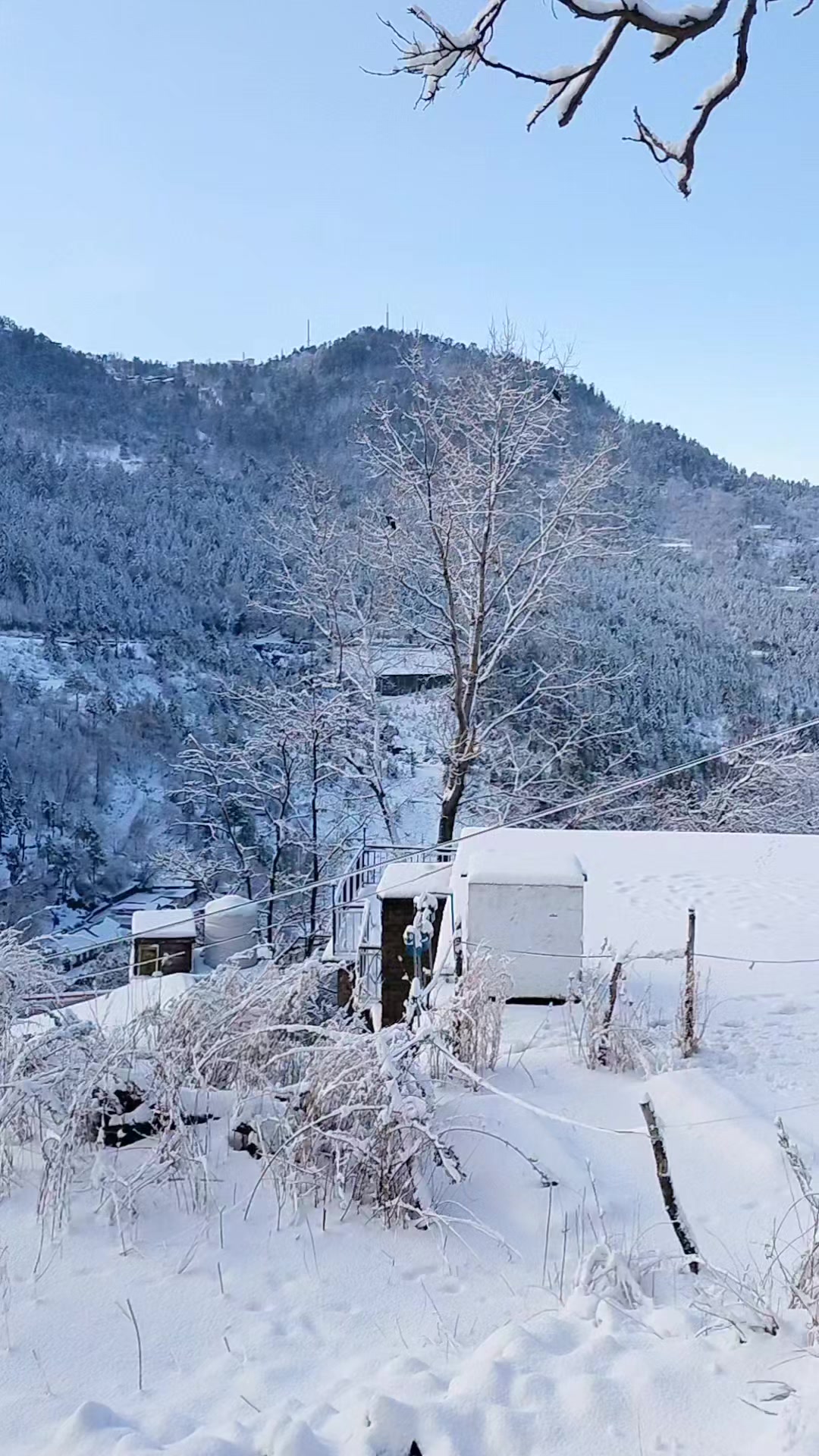 @Imran Khan 804