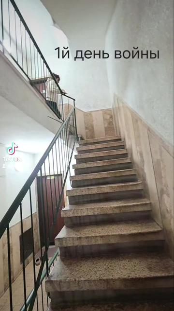 @самка ягуара