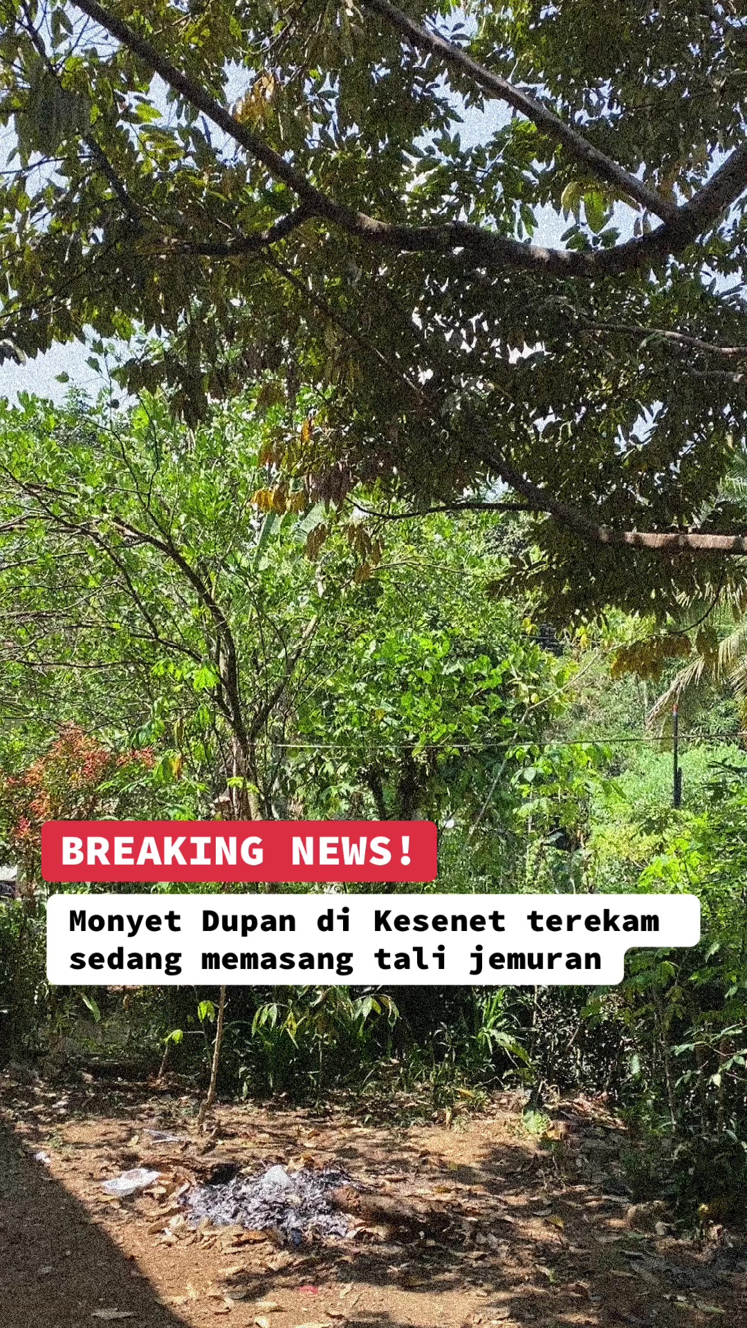 @KKN UNSOED DESA KESENET 208